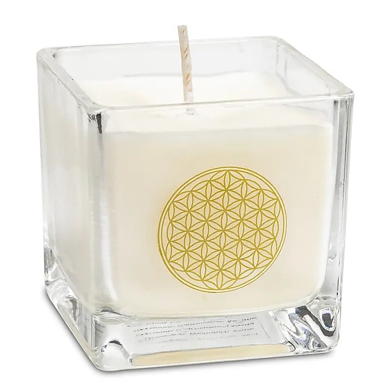 Bougie parfumée, cire de colza écologique 100% végétale (verre recyclé) avec de jolis motifs. 6x6 cm - 88 grammes - 25 heures de combustion. Fabriqué à la main en Belgique, avec des huiles parfumées sans paraben.