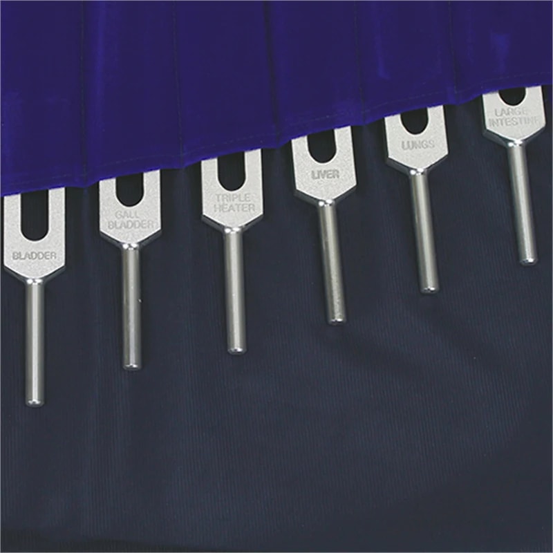 Set 'Méridien' de 14 diapasons, en aluminium anodisé finition Argent. Livré dans 1 pochette en velours bleu !