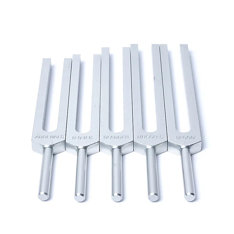 Set 'Organes Humains' de 15 diapasons, en aluminium anodisé finition Argent. Livré dans 1 pochette en velours bleu !