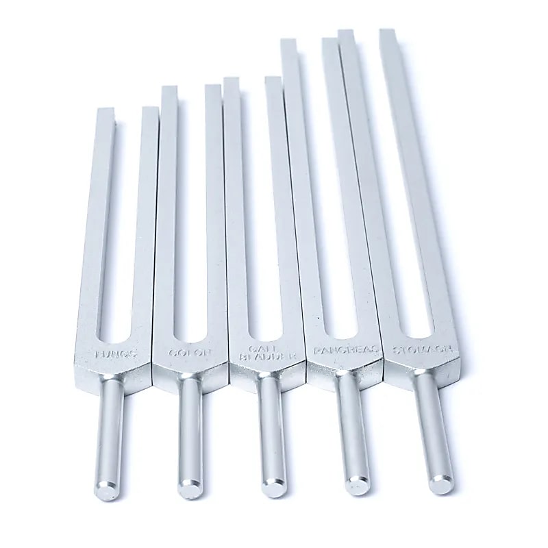 Set 'Organes Humains' de 15 diapasons, en aluminium anodisé finition Argent. Livré dans 1 pochette en velours bleu !