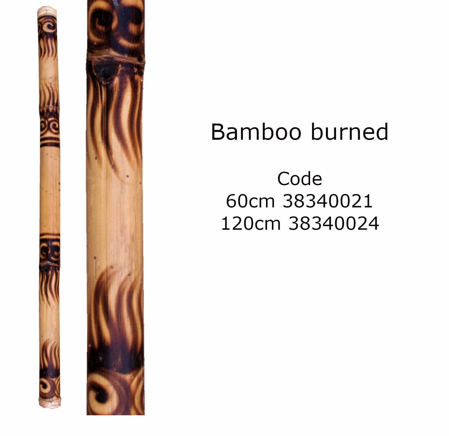 Sélection de bâtons de pluie de 25 à 150 cm, en bambou, cactus ou acajou. Parfait pour les séances de méditations, bains sonores...