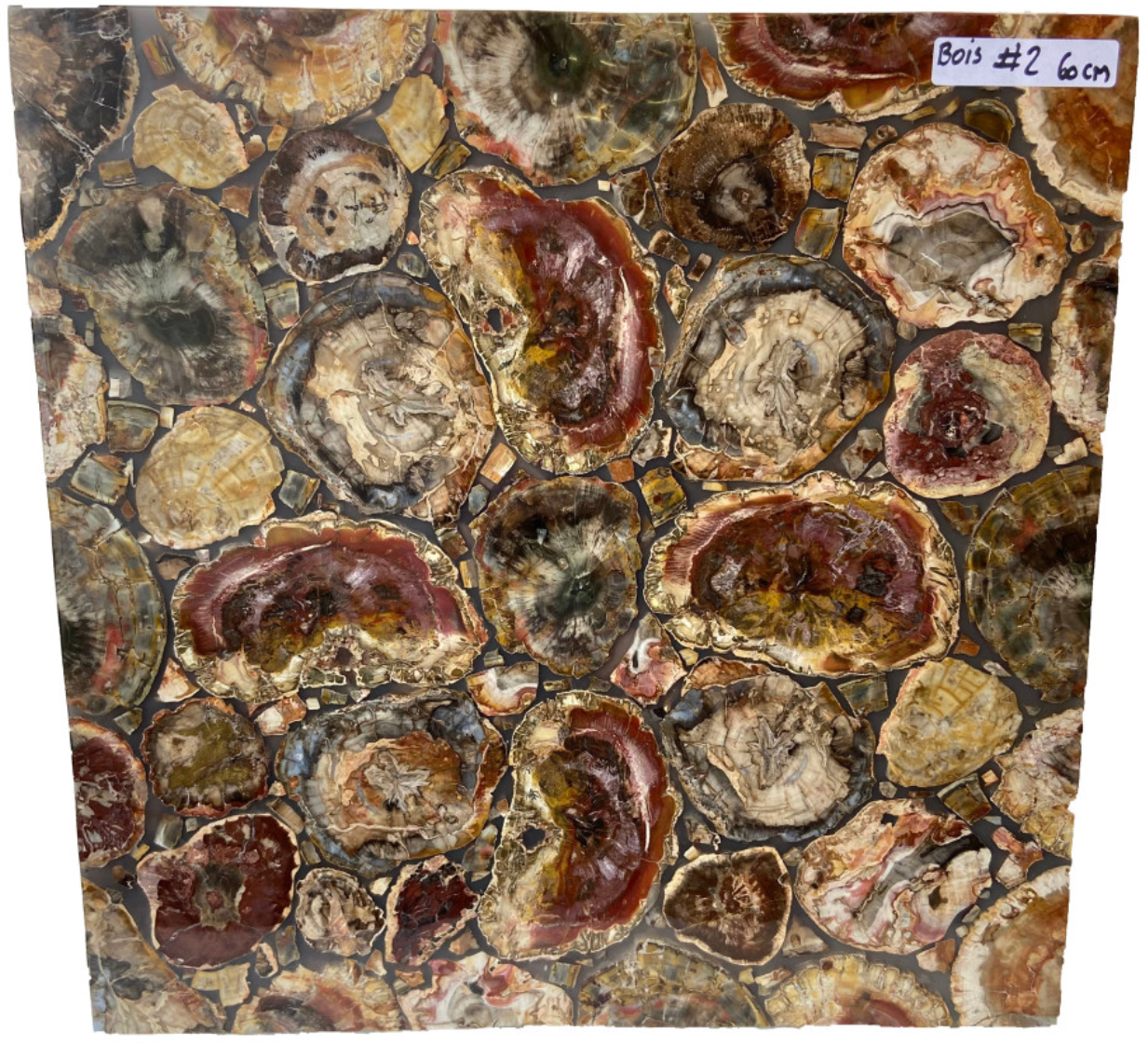 Table carré en tranches de Bois Fossile, 60x60x3 cm. Parfait pour fabriquer la table de vos rêves ou en décoration, exposition...
