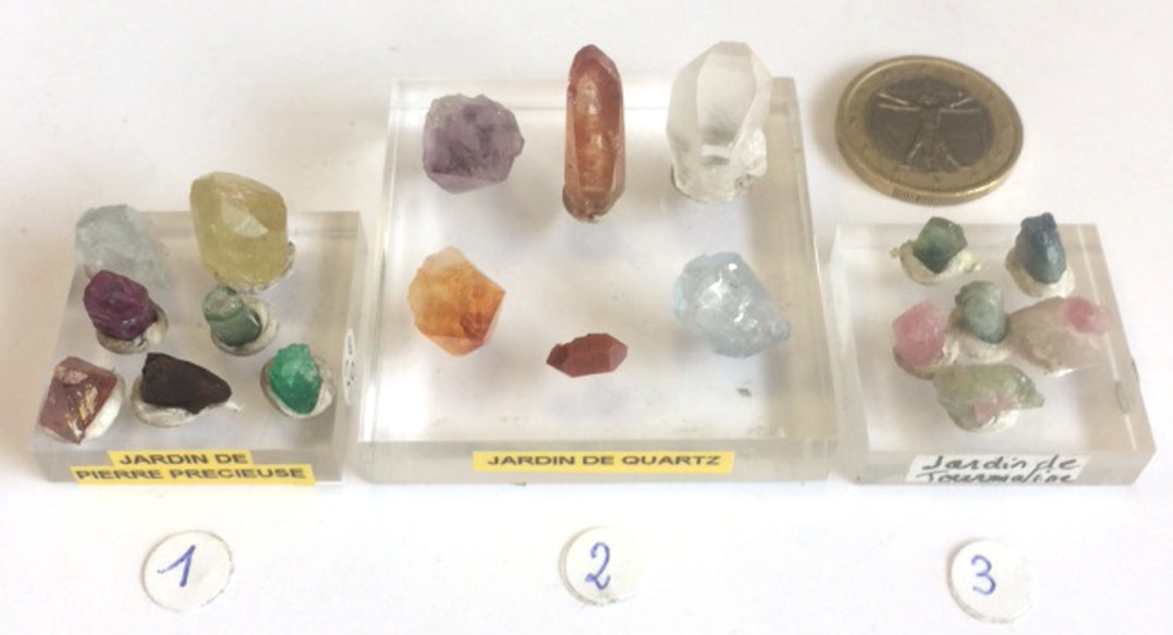 The 'Crystal Gardens' concept features 3 unique kits to choose from. These valuable crystals are renowned for their gem-like qualities, colors, and shapes. These are nature's little wonders!