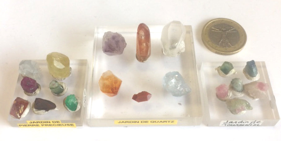 The 'Crystal Gardens' concept features 3 unique kits to choose from. These valuable crystals are renowned for their gem-like qualities, colors, and shapes. These are nature's little wonders!