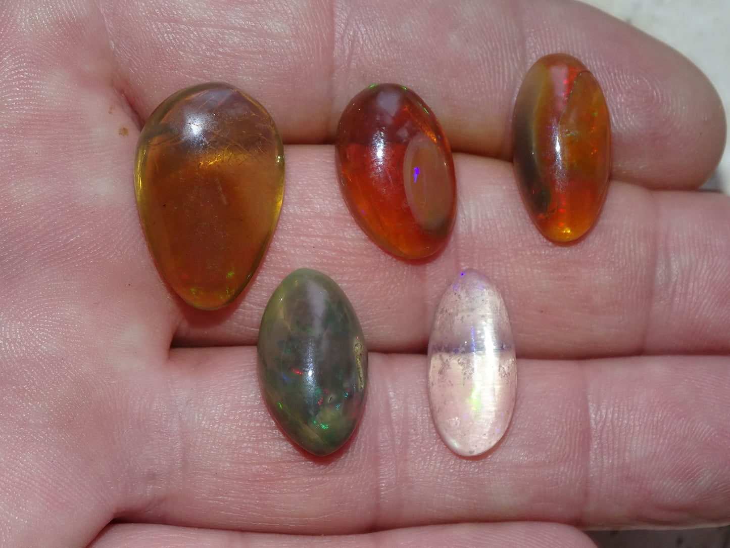 Opale multi-feu, cabochons au choix de 1,9x0,8x7 millimètres à 23x15x0,9. L'authentique et mythique pierre pafait en bijouterie, collection ,exposition...!