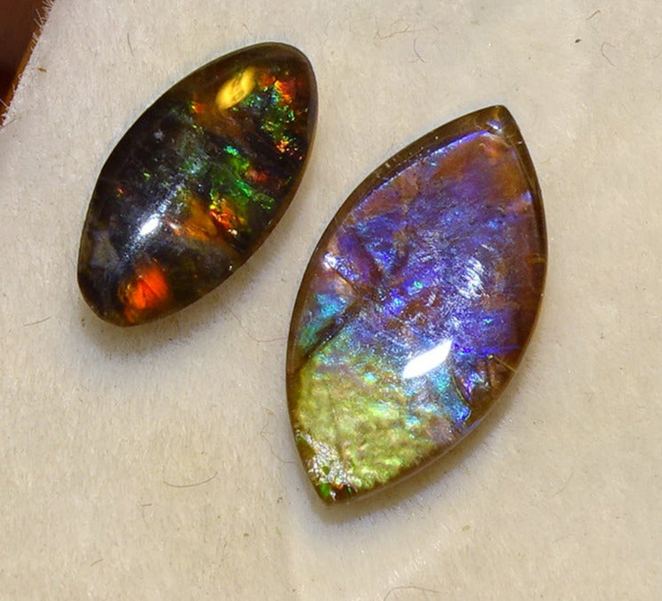 Ammolites 'véritables', 2 pièces au choix de 0,9x0,4x0,1 et 12x0,5x0,2 mm, magnifiques reflets multicolores, très belles pièces, parfait en bijouterie, collection ,exposition...