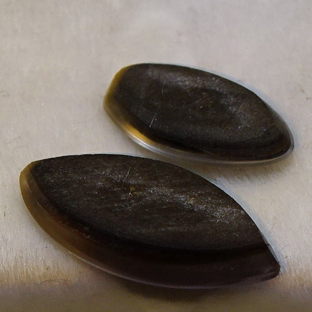 Ammolites véritables – 2 pièces au choix aux reflets multicolores, tailles 0,9×0,4×0,1 mm et 12×0,5×0,2 mm – Pour bijouterie, collection...