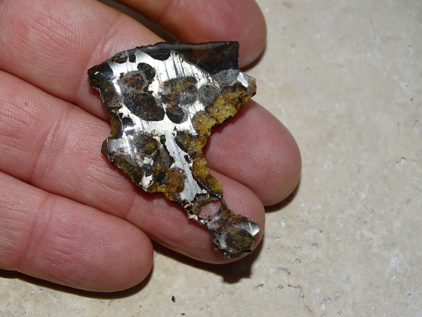 Sélection de météorites Pallasites Sericho, de 6 à 40 gr. Se distinguent par la présence de gros cristaux d'olivine en inclusion dans la matrice, magnifique !