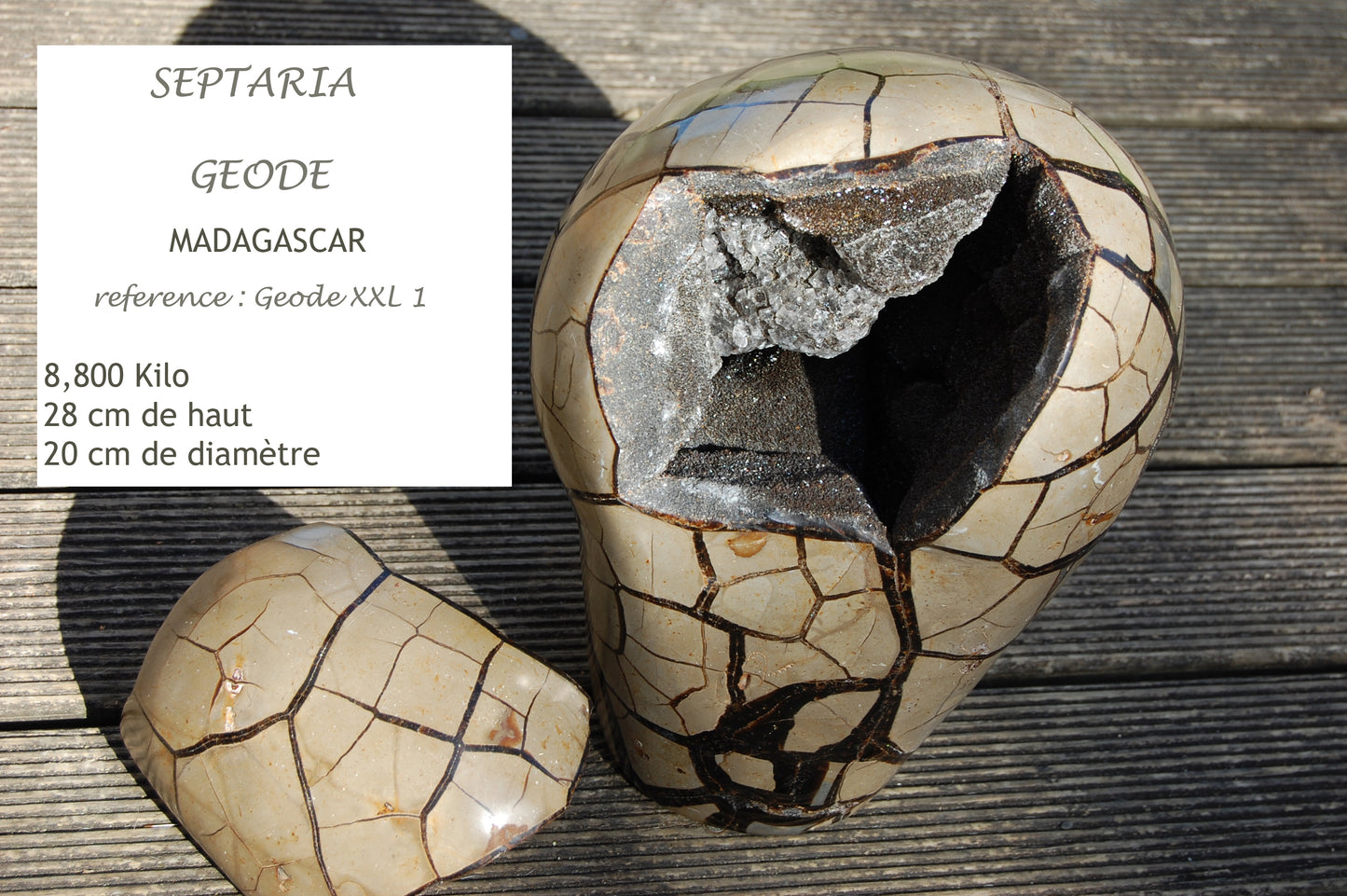 Septaria de taille XL, géode ouverte en 2 parties de 8,8 kg, 28x20x12cm. Superbe qualité, pour collections, expositions...