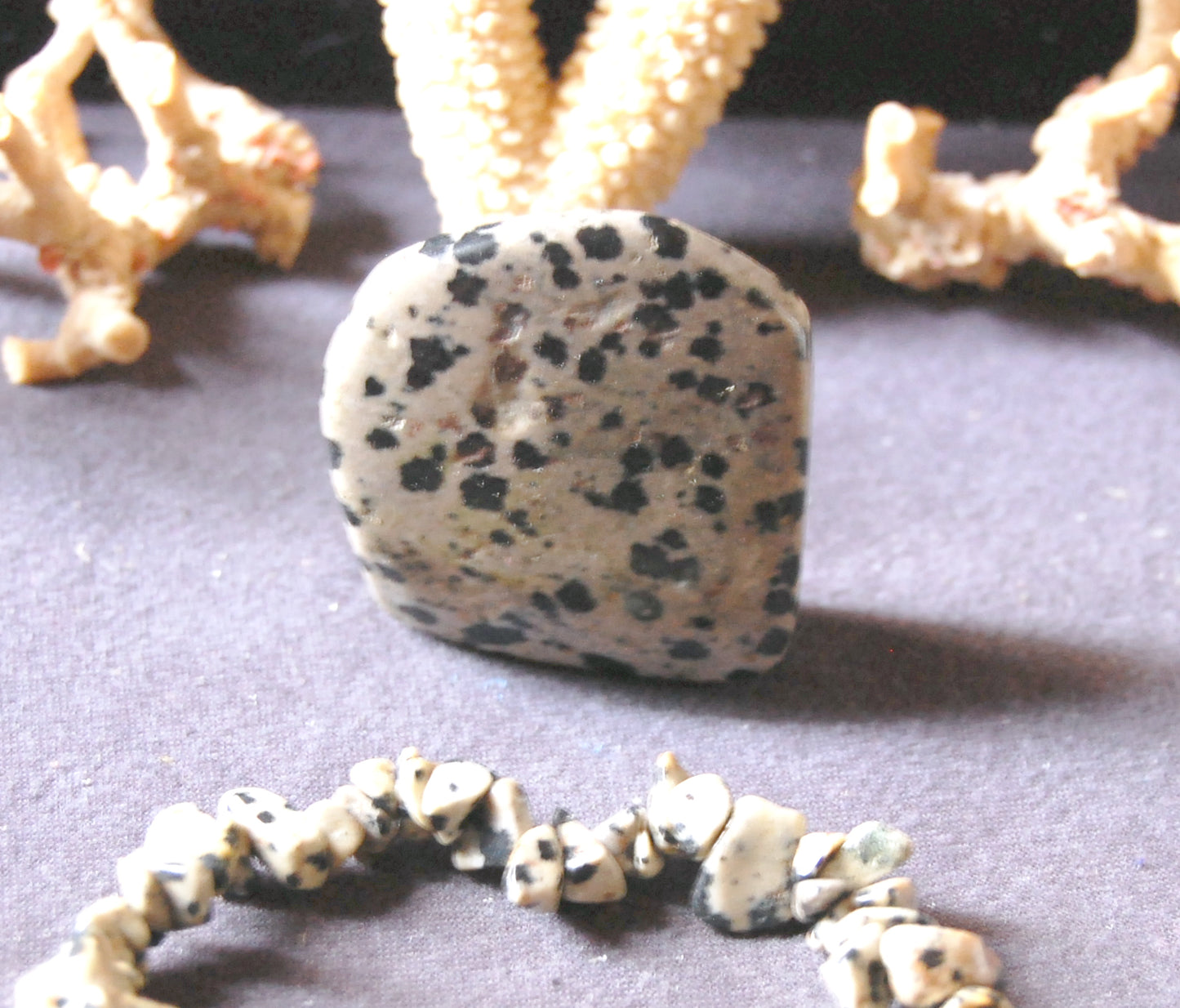Jaspe Dalmatien - Spécimen brut de 40 x 40 x 15mm - 24 grammes ! Très joli pierre à exposer !
