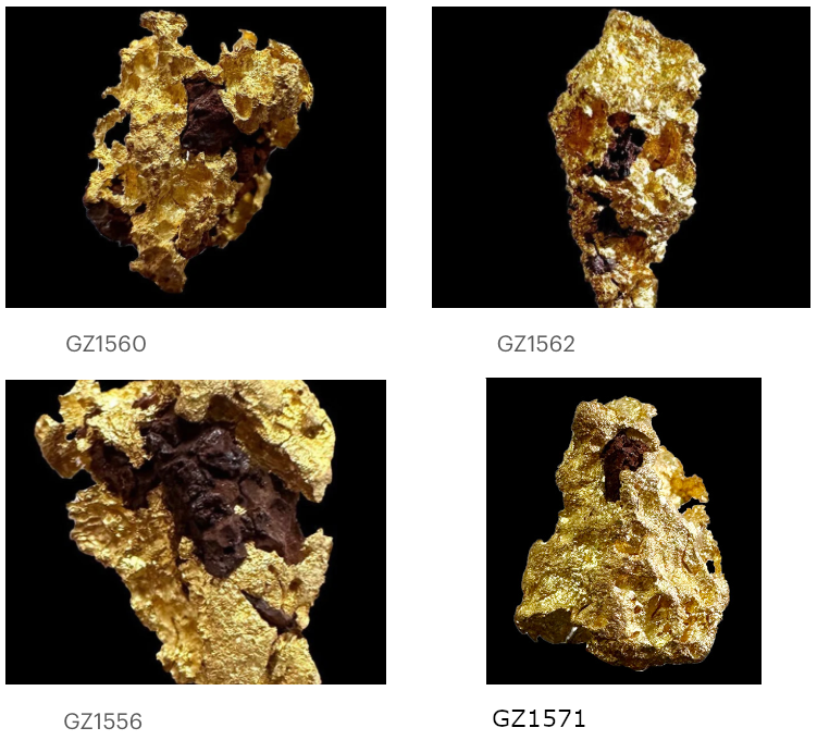 Native gold from the Laverton mine in Australia, 4 nuggets to choose from, very beautiful mineralogy pieces. Rare!