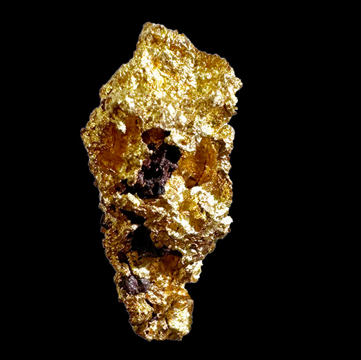 Or natif de la mine Laverton en Australie, pépite de 1,35 gr , très belle pièce de minéralogie. Rare !