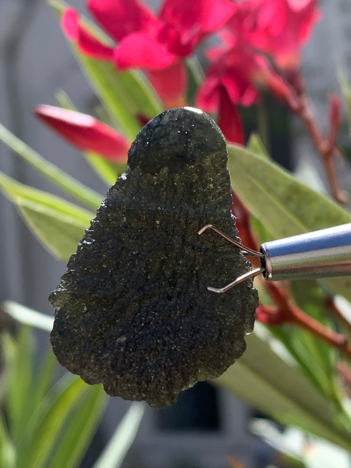 Moldavite/ Tectite verte authentique, de 33mm x 23 x 11 - 7,8 grammes. Le must en matière de pierre de la famille des météorites et tectites. Fascinant, envoutant, hypnotisant !
