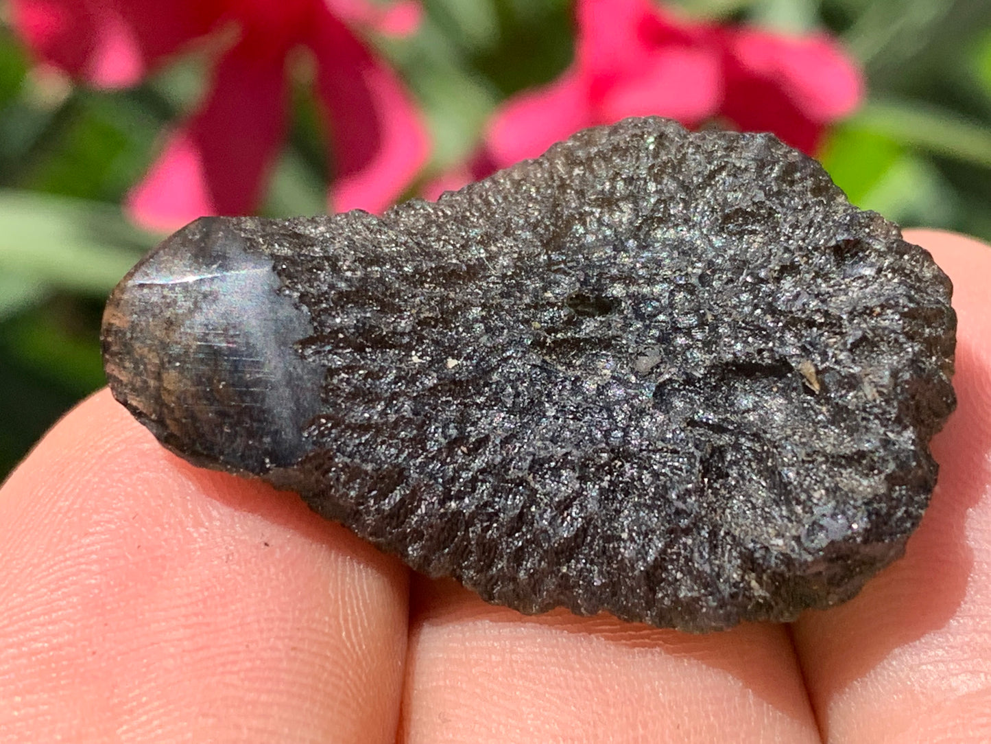 Moldavite/ Tectite verte authentique, de 33mm x 23 x 11 - 7,8 grammes. Le must en matière de pierre de la famille des météorites et tectites. Fascinant, envoutant, hypnotisant !