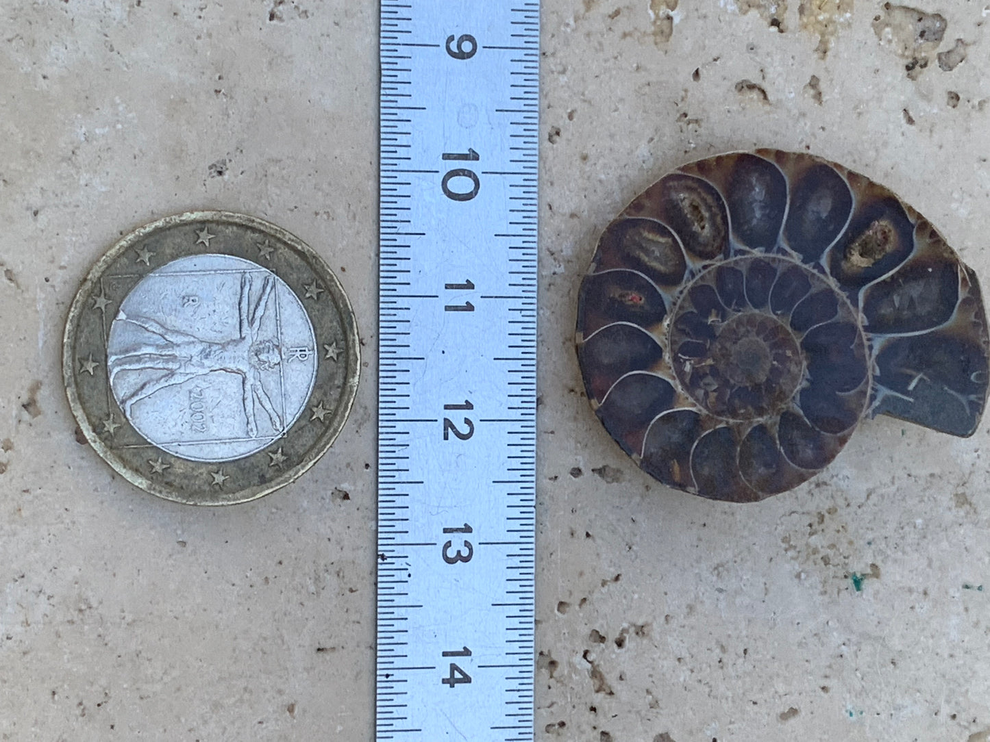 Ammonite nacrée sciée en 2, médaillon de 33mm x 28 x 9 - 9,9 grammes. Parfait pour collection, exposition...