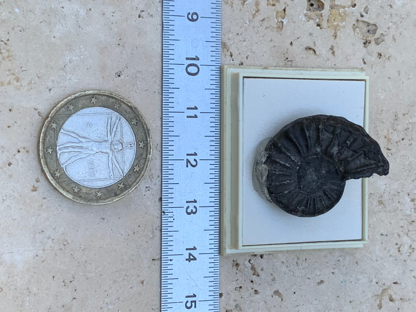 Ammonite pyritisé de France (Aveyron), de 26mm x 20 x 10 - 8,5 grammes. Parfait pour collection, exposition... Vendu avec boîte de 4 x3,3 x2 cm !