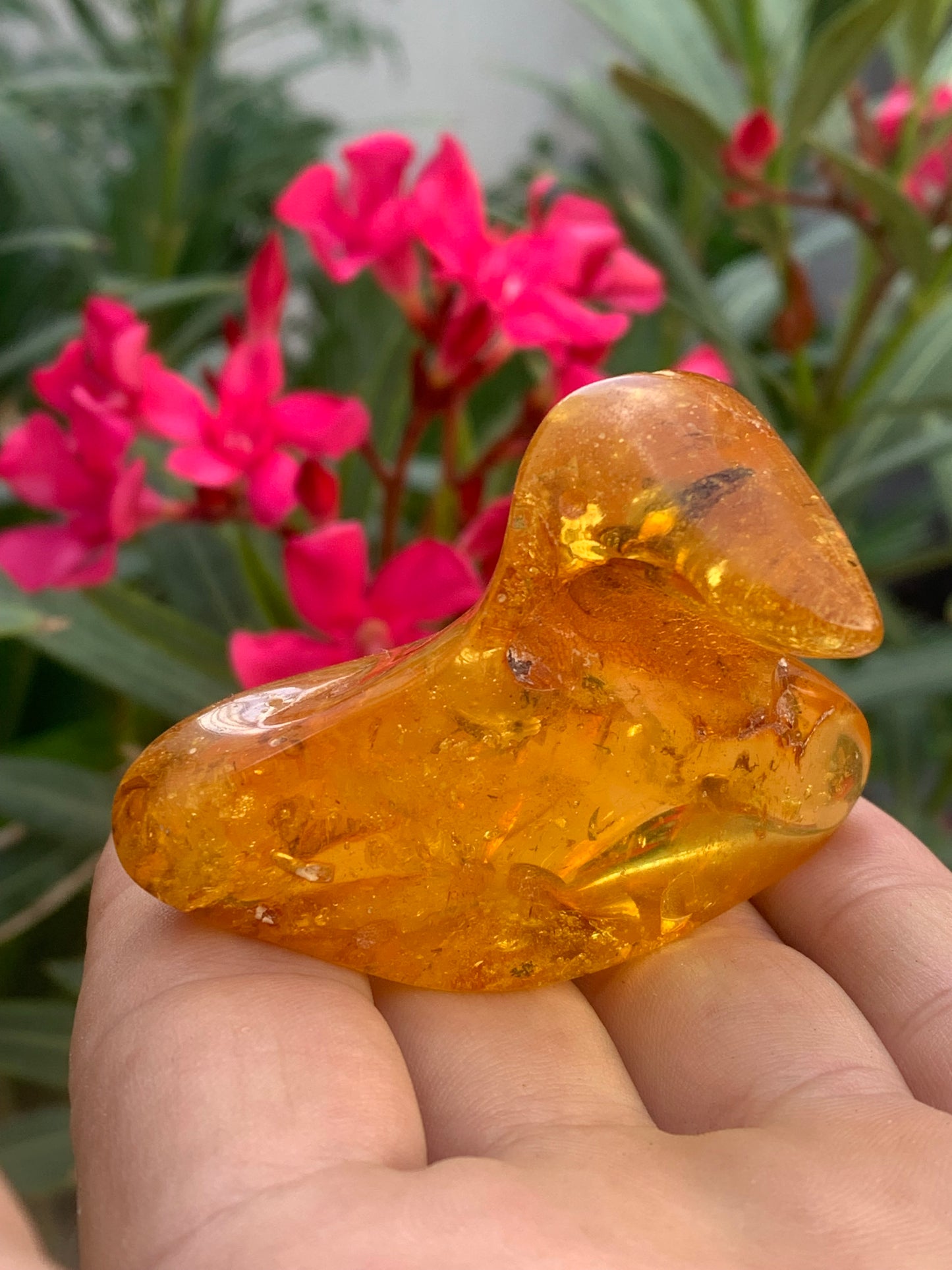 Ambre de la mer Baltique, 65mm x 48 x 27 - 31,2 grammes. Très belle qualité, superbe pièce de belle taille avec inclusions !