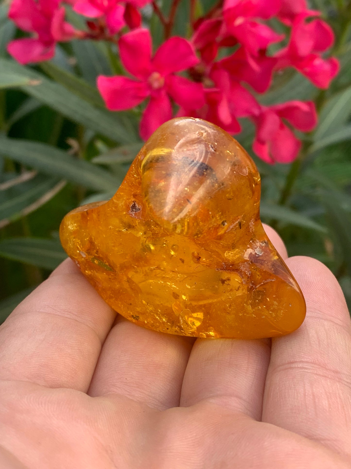 Ambre de la mer Baltique, 65mm x 48 x 27 - 31,2 grammes. Très belle qualité, superbe pièce de belle taille avec inclusions !
