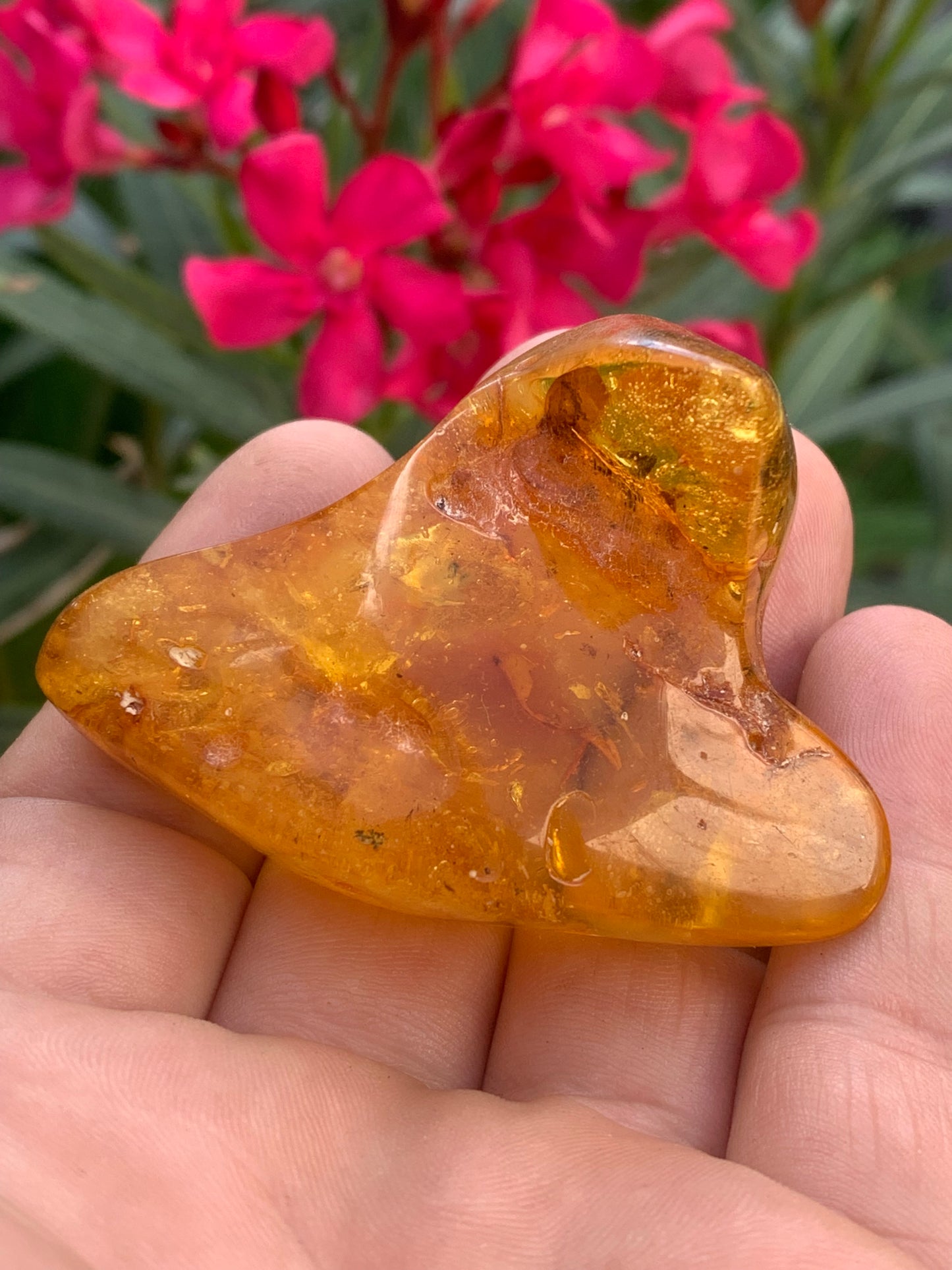 Ambre de la mer Baltique, 65mm x 48 x 27 - 31,2 grammes. Très belle qualité, superbe pièce de belle taille avec inclusions !