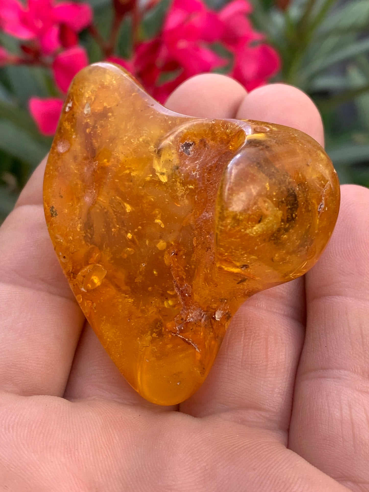 Ambre de la mer Baltique, 65mm x 48 x 27 - 31,2 grammes. Très belle qualité, superbe pièce de belle taille avec inclusions !