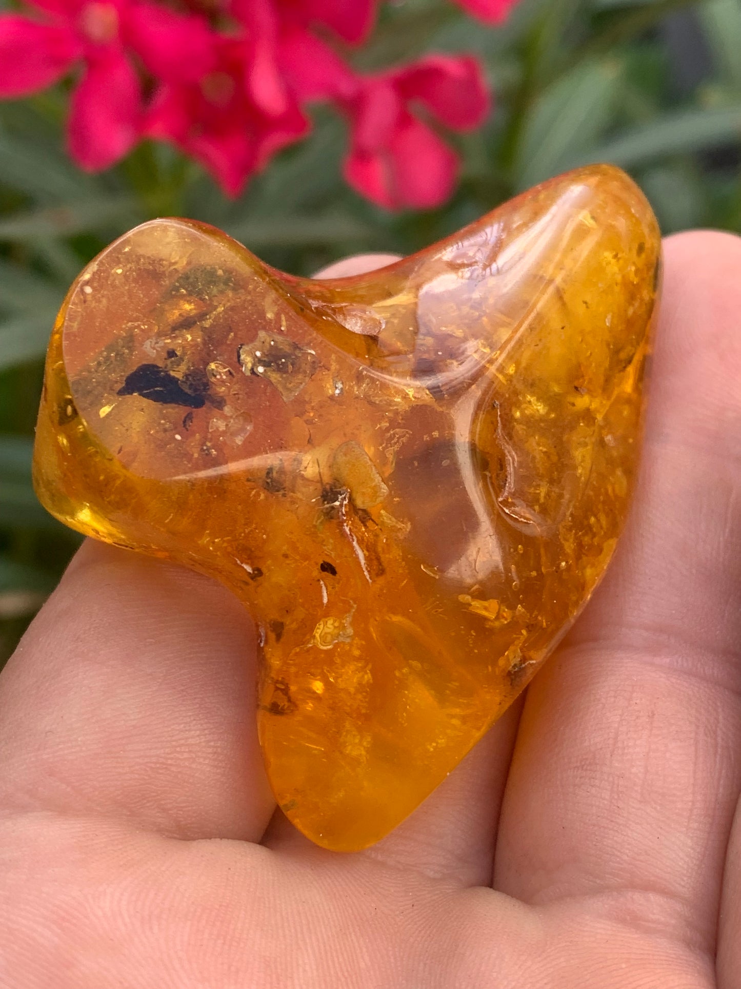 Ambre de la mer Baltique, 65mm x 48 x 27 - 31,2 grammes. Très belle qualité, superbe pièce de belle taille avec inclusions !