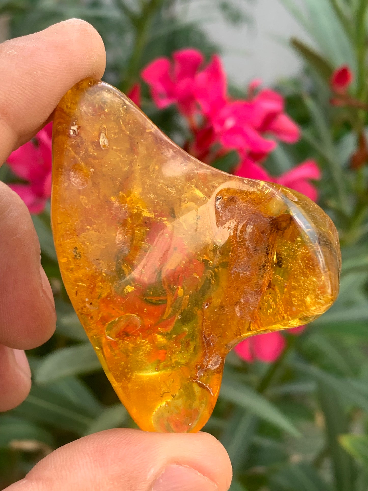Ambre de la mer Baltique, 65mm x 48 x 27 - 31,2 grammes. Très belle qualité, superbe pièce de belle taille avec inclusions !