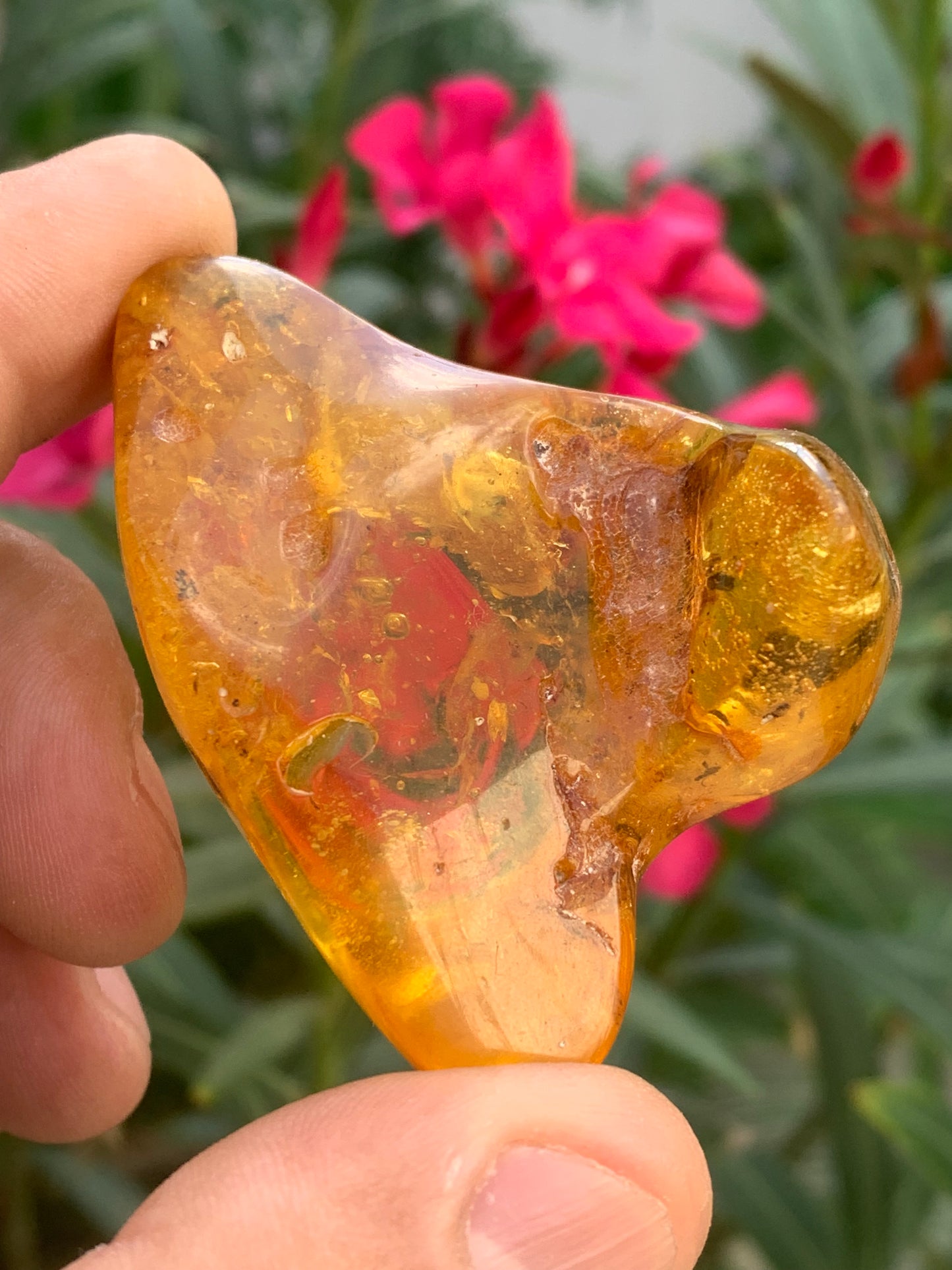 Ambre de la mer Baltique, 65mm x 48 x 27 - 31,2 grammes. Très belle qualité, superbe pièce de belle taille avec inclusions !