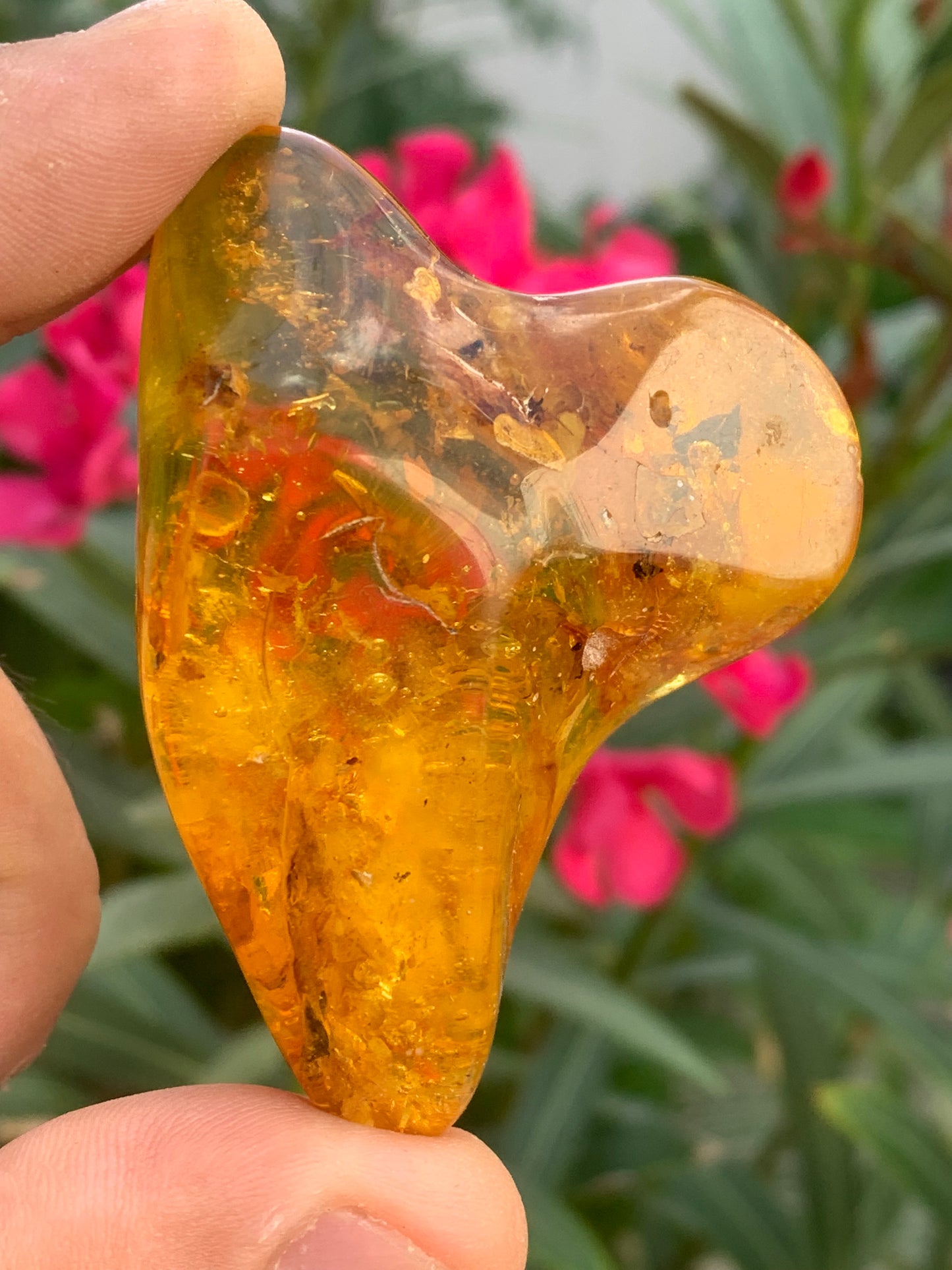 Ambre de la mer Baltique, 65mm x 48 x 27 - 31,2 grammes. Très belle qualité, superbe pièce de belle taille avec inclusions !