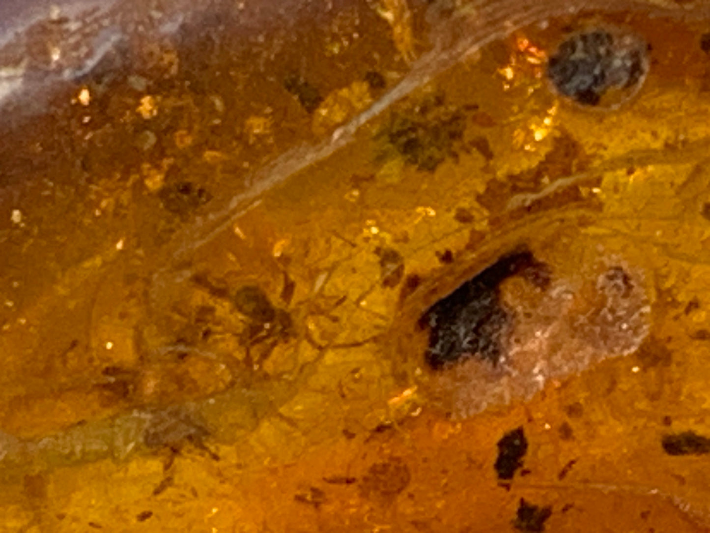 Ambre, galet avec inclusion d'une araignée, 40mm x20 x 10 - 4,1 grames. Superbe pièce pour bijouterie ou collection !