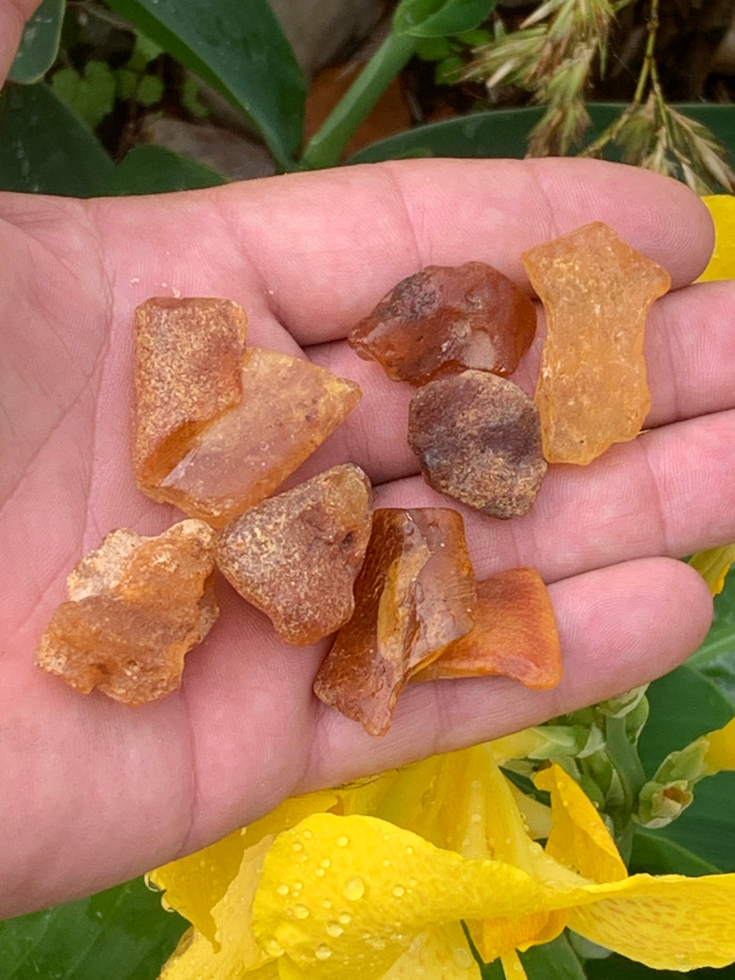 Ambre brut de Lituanie, vente en lot de 25 grammes. Taille de 40x25x15 mm en moyenne ! Parfait pour la bijouterie, collection...