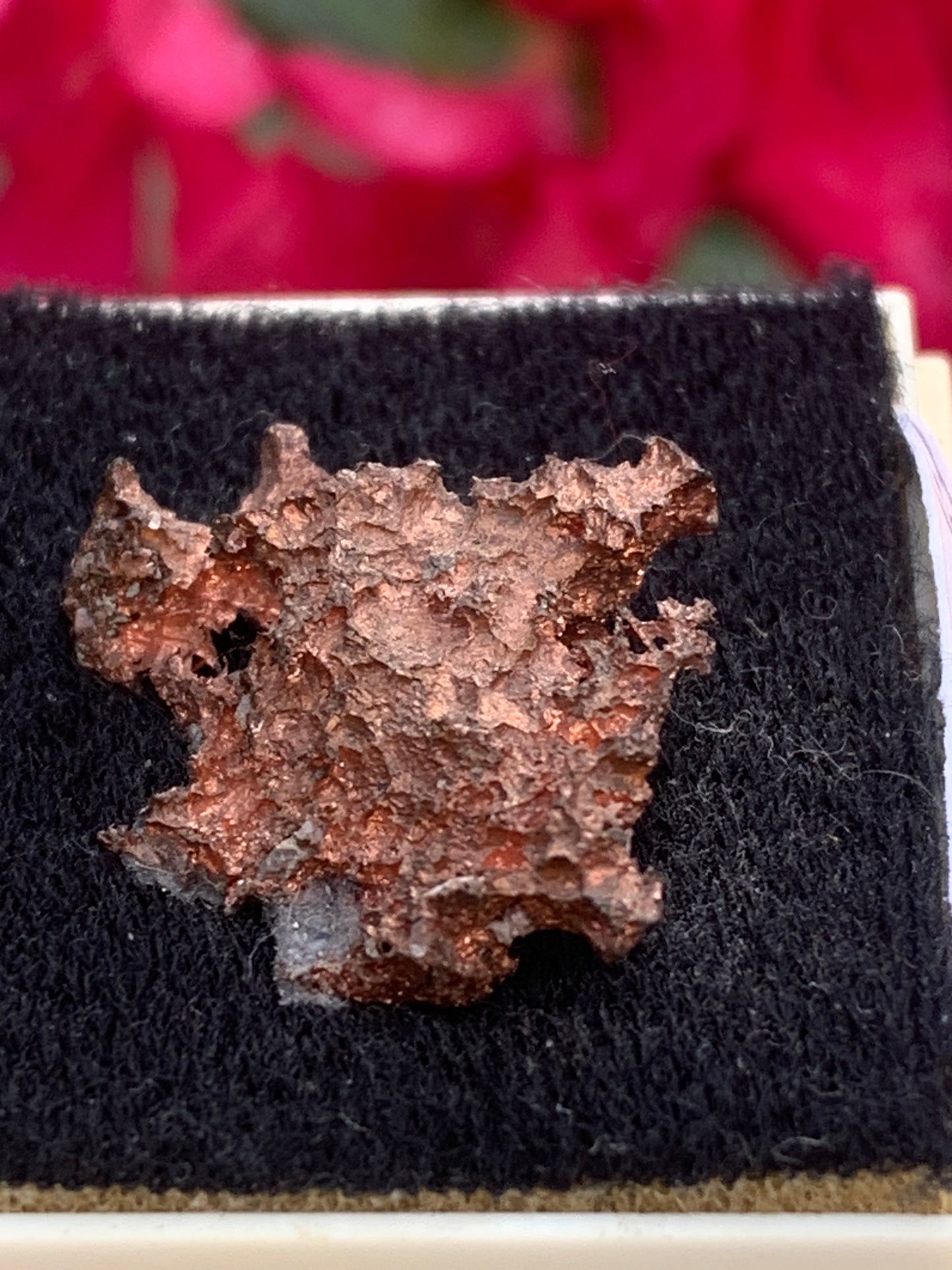 Cuivre natif, spécimen brut naturel de 22mm x18 x 9 - 6 grammes. Parfait pour collection, exposition...