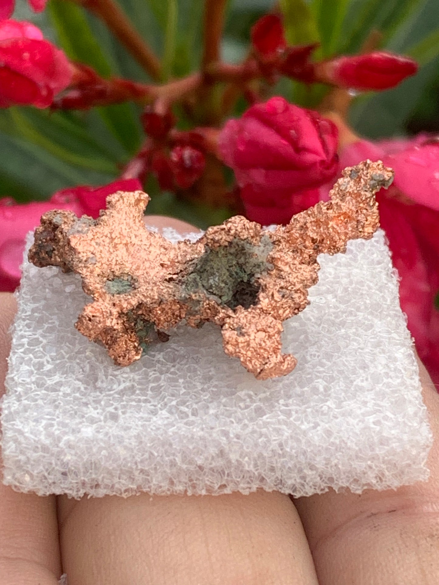 Cuivre natif, spécimen brut naturel de 37mm de long x27 x14 - 12,1 grammes. Parfait pour collection, exposition...