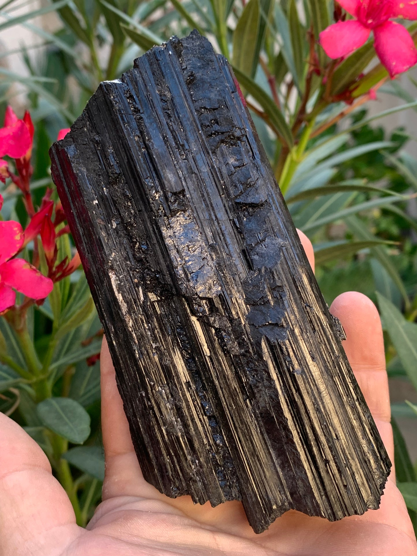 Tourmaline noire, spécimen naturel de 137 x 64 x 40 mm - 568 grammes. Une très belle pièce de belle taille !
