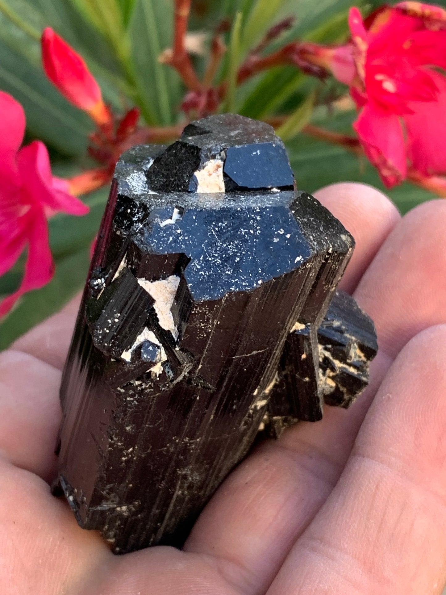 Tourmaline noire, spécimen naturel de 62 x 44 x 42 mm - 136 grammes. Une très belle pièce représentative de la varièté !