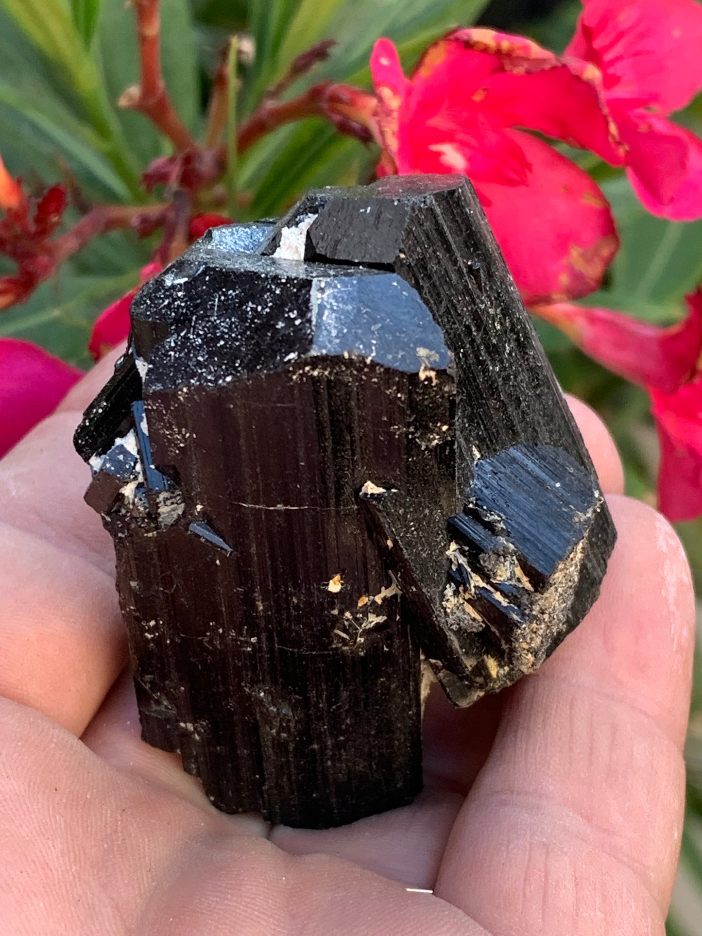 Tourmaline noire, spécimen naturel de 62 x 44 x 42 mm - 136 grammes. Une très belle pièce représentative de la varièté !