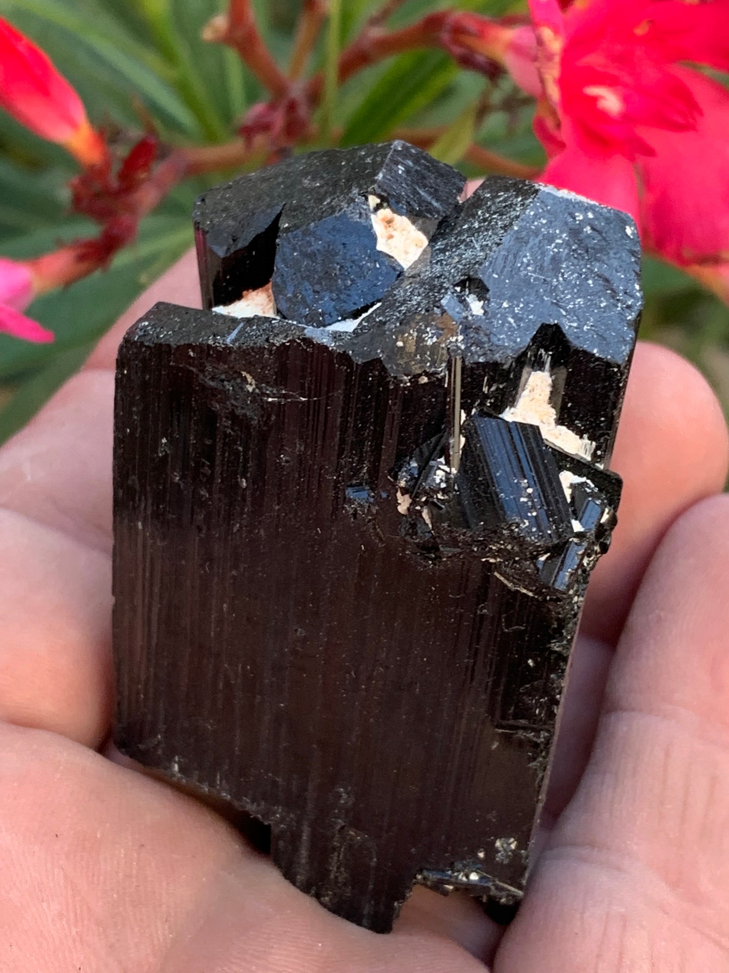 Tourmaline noire, spécimen naturel de 62 x 44 x 42 mm - 136 grammes. Une très belle pièce représentative de la varièté !