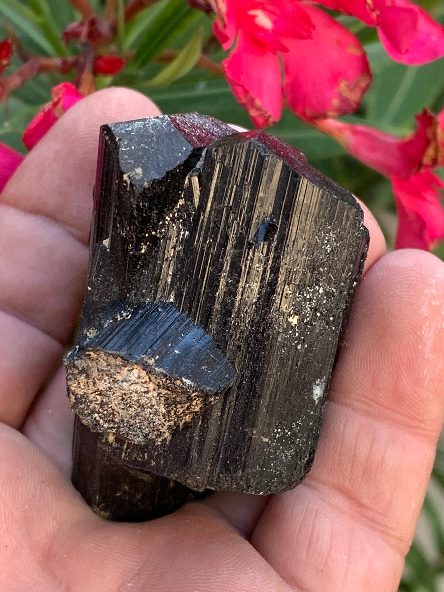 Tourmaline noire, spécimen naturel de 62 x 44 x 42 mm - 136 grammes. Une très belle pièce représentative de la varièté !