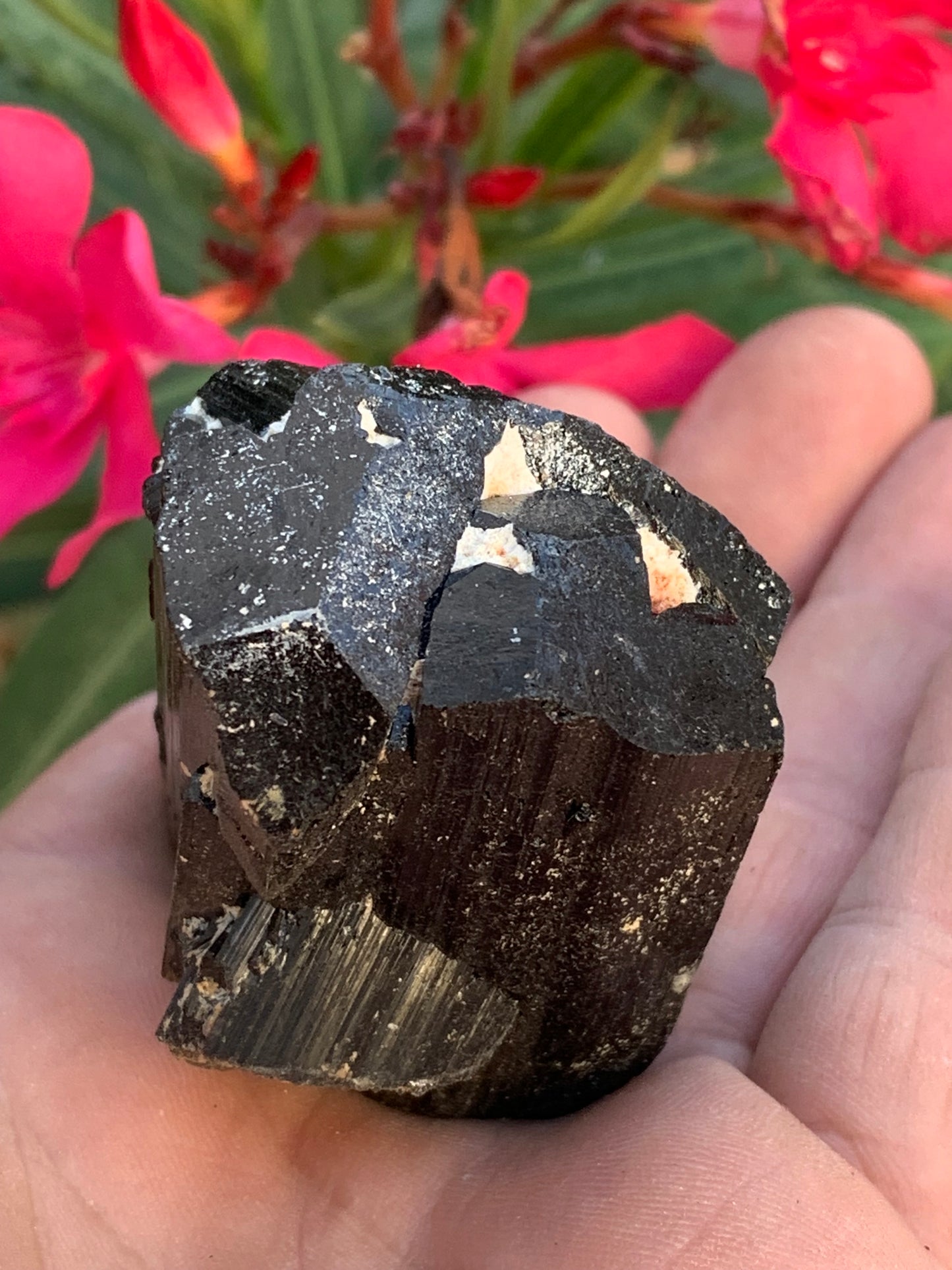 Tourmaline noire, spécimen naturel de 62 x 44 x 42 mm - 136 grammes. Une très belle pièce représentative de la varièté !