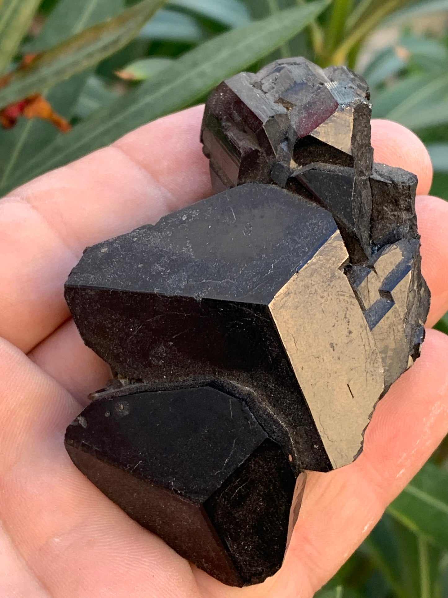 Tourmaline noire, spécimen naturel, macle de 83 x 53 x 32 mm - 166,8 grammes. Une très belle pièce avec plusieurs têtes à 3 faces !
