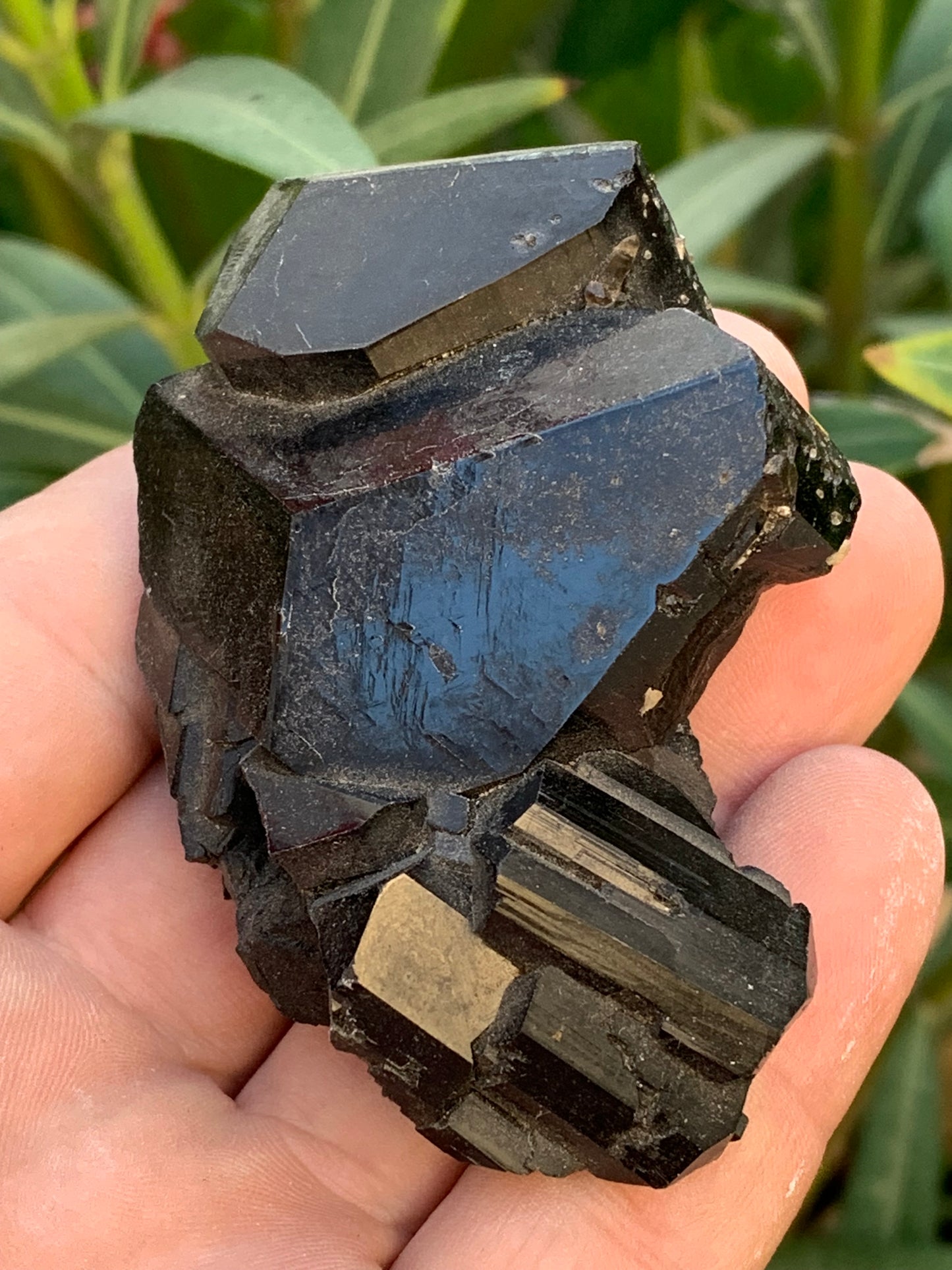 Tourmaline noire, spécimen naturel, macle de 83 x 53 x 32 mm - 166,8 grammes. Une très belle pièce avec plusieurs têtes à 3 faces !