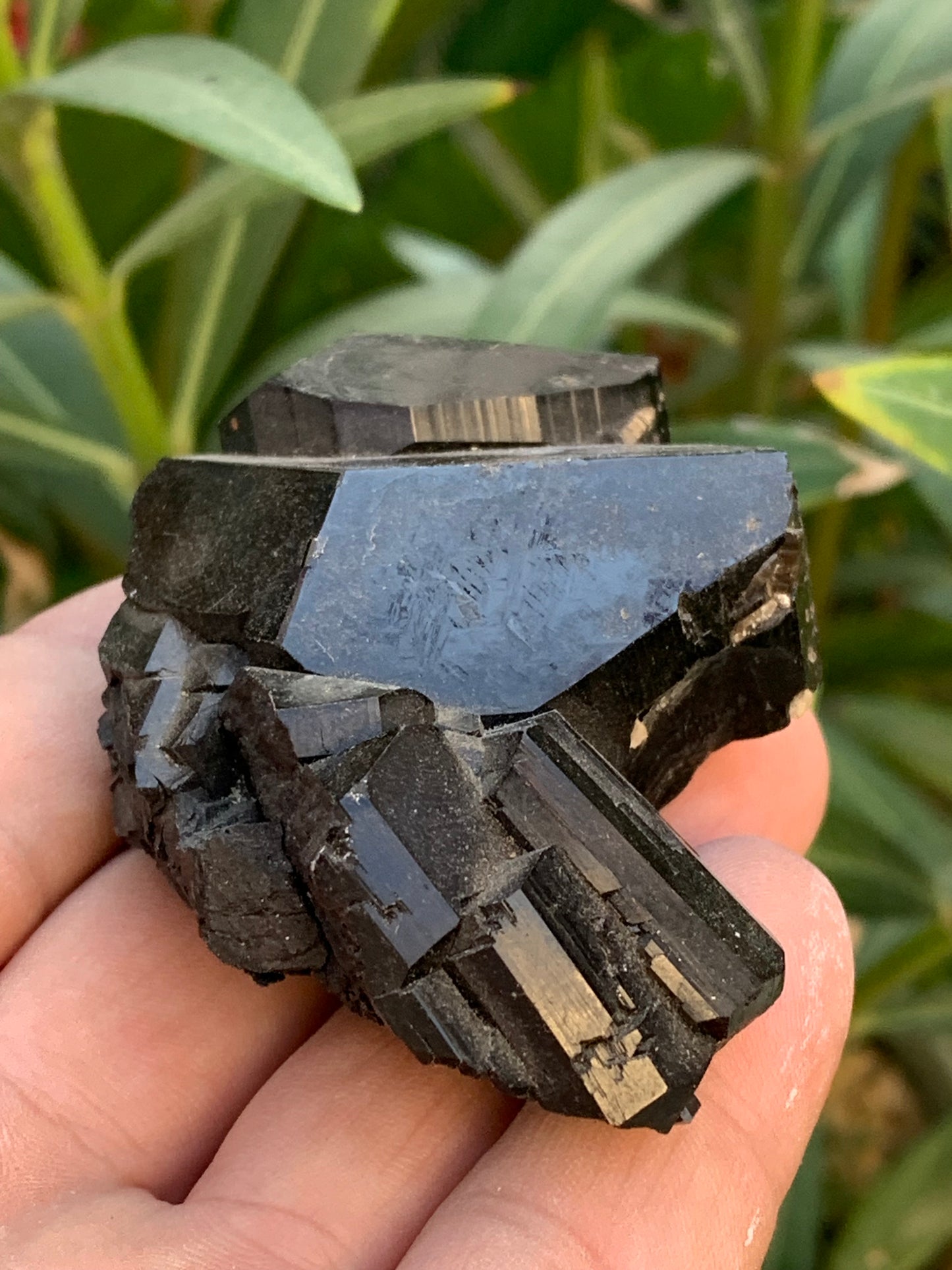 Tourmaline noire, spécimen naturel, macle de 83 x 53 x 32 mm - 166,8 grammes. Une très belle pièce avec plusieurs têtes à 3 faces !