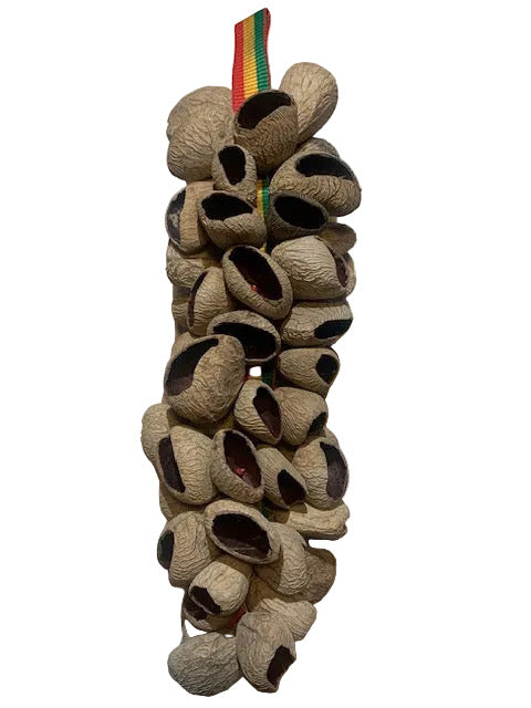 Hochet en grappe de coquilles de Pangi (50 à 60), 40 cm de long x 10 de diamètre