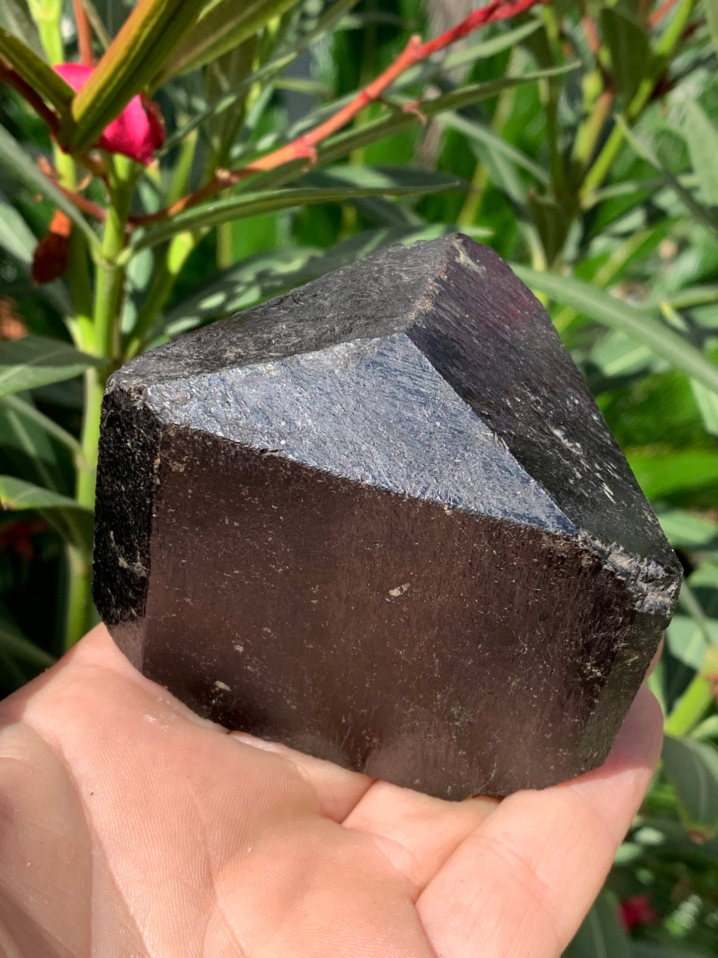 Tourmaline noire, spécimen naturel à 3 faces de 80 x 65 x 70 mm - 555 grammes. Une très belle et unique pièce !