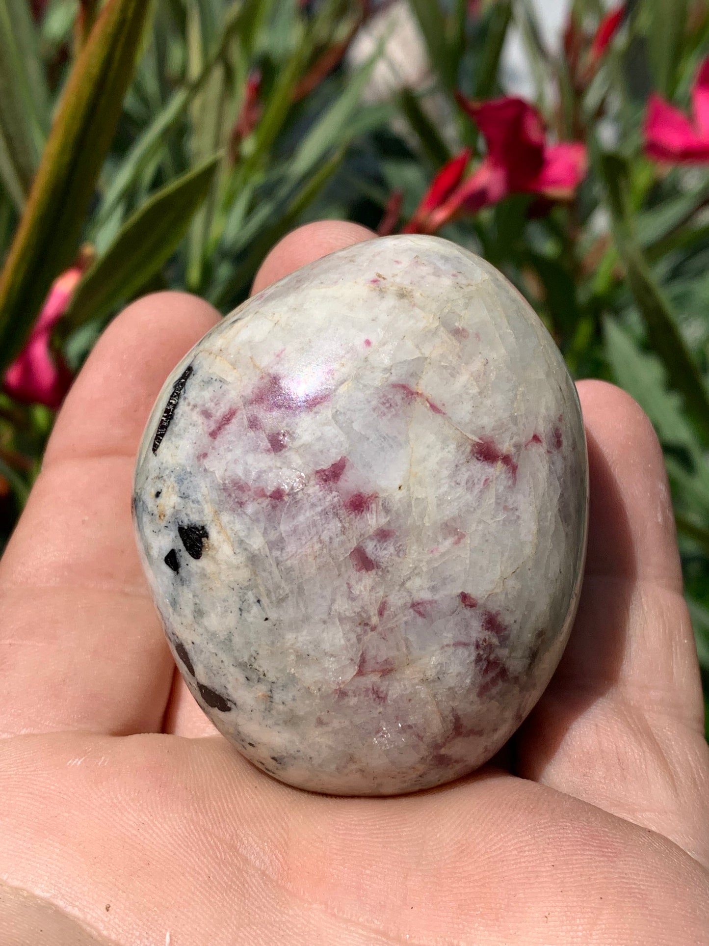 Tourmaline Rubellite, gros galet rond de 60 x 50 x 45 mm - 179,2 grammes. Une très belle et unique pièce !