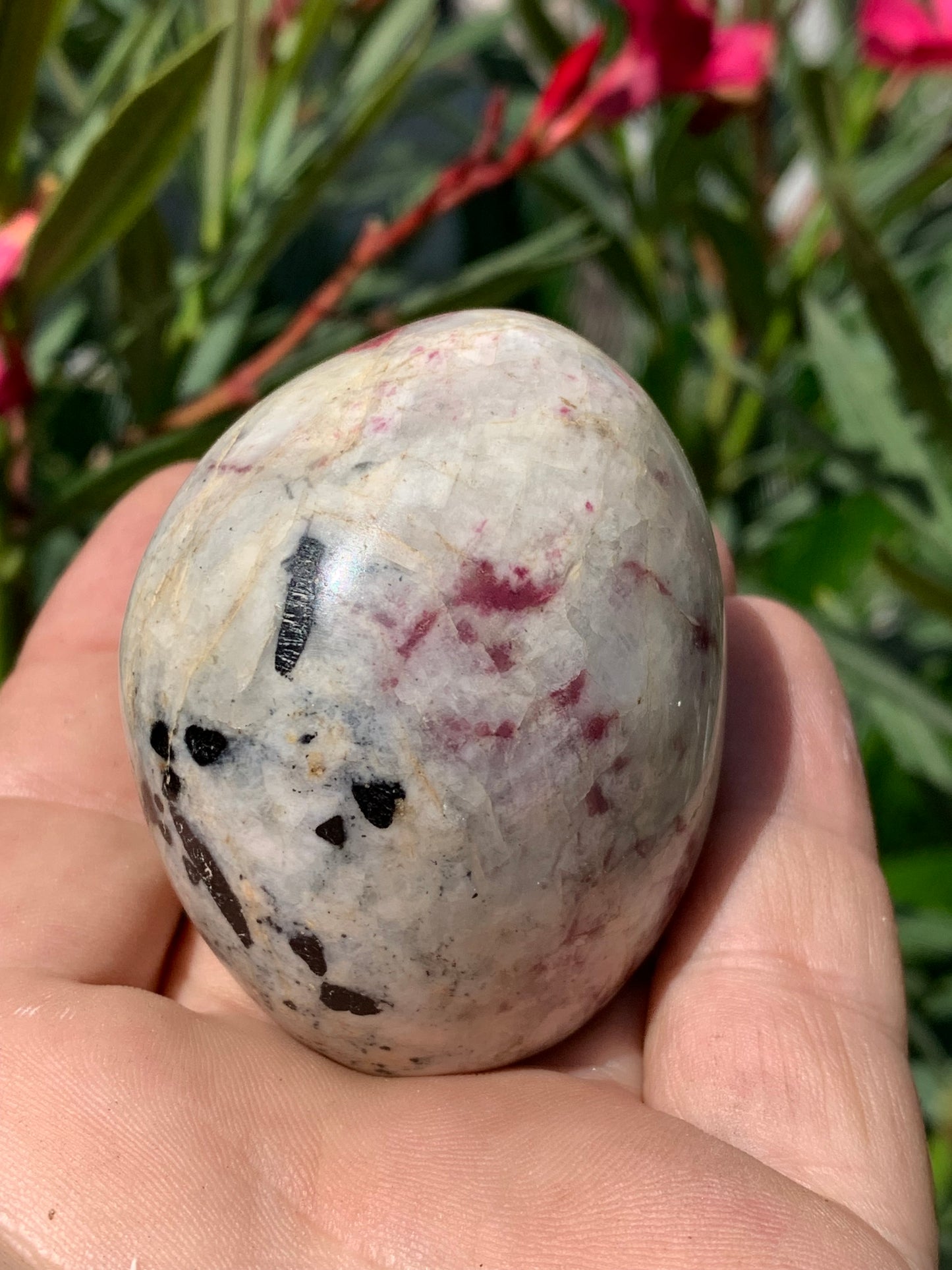 Tourmaline Rubellite, gros galet rond de 60 x 50 x 45 mm - 179,2 grammes. Une très belle et unique pièce !