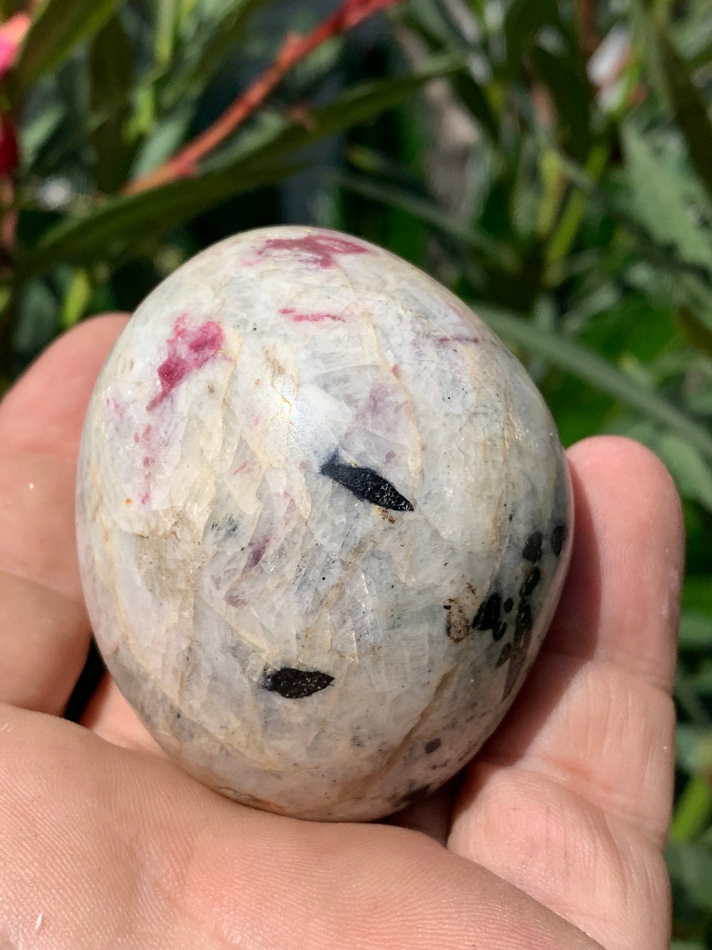 Tourmaline Rubellite, gros galet rond de 60 x 50 x 45 mm - 179,2 grammes. Une très belle et unique pièce !