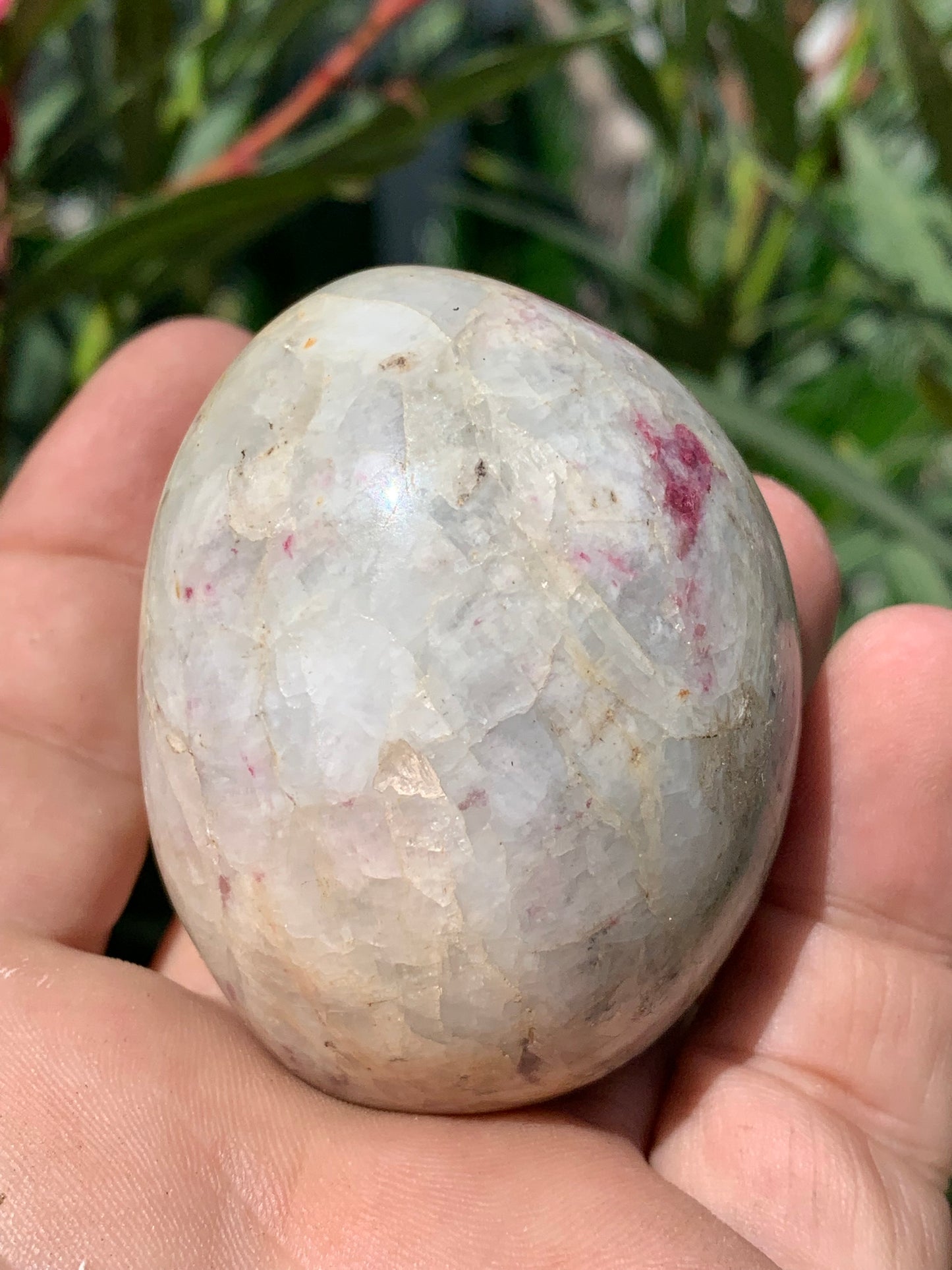 Tourmaline Rubellite, gros galet rond de 60 x 50 x 45 mm - 179,2 grammes. Une très belle et unique pièce !