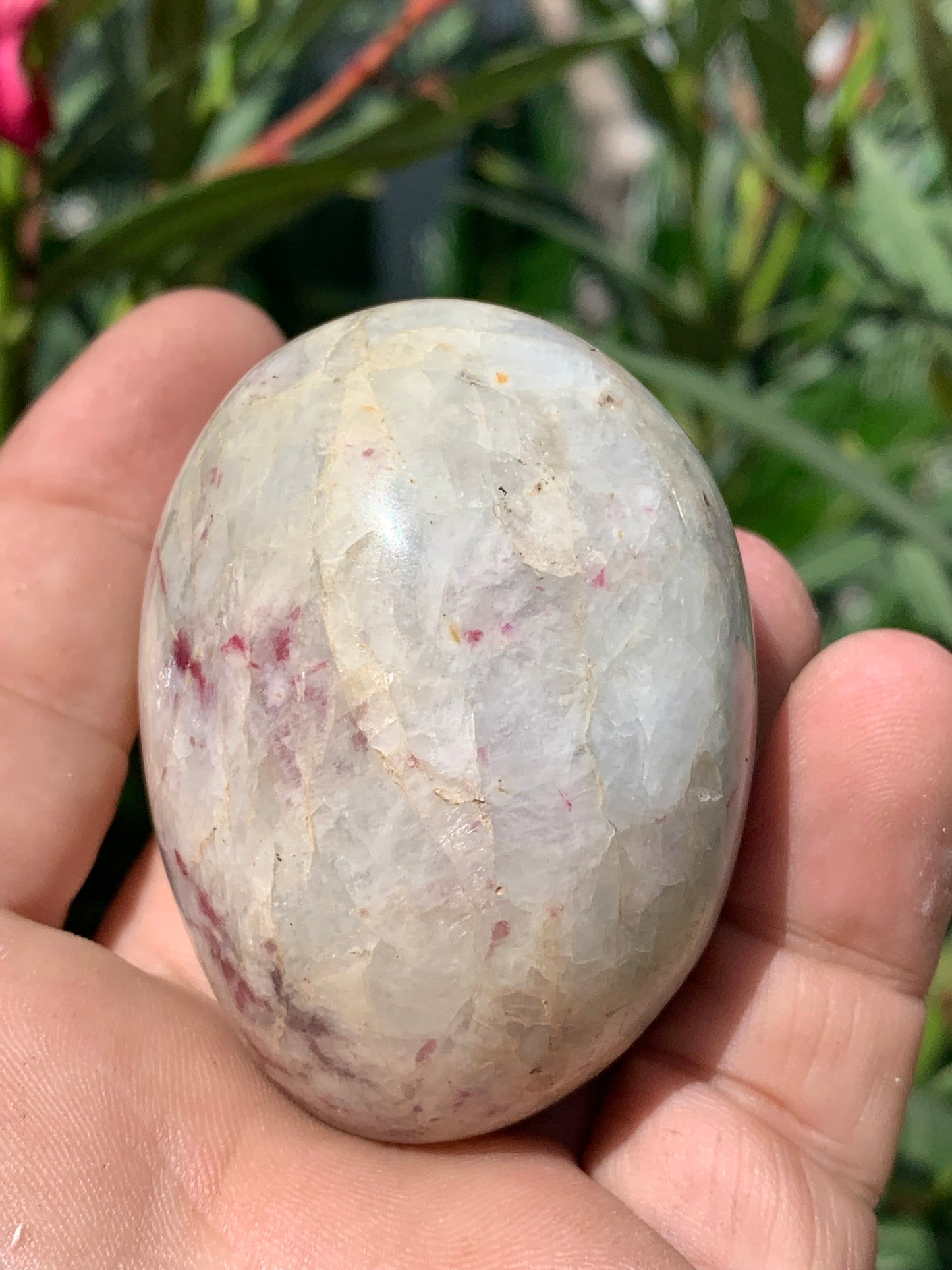 Tourmaline Rubellite, gros galet rond de 60 x 50 x 45 mm - 179,2 grammes. Une très belle et unique pièce !