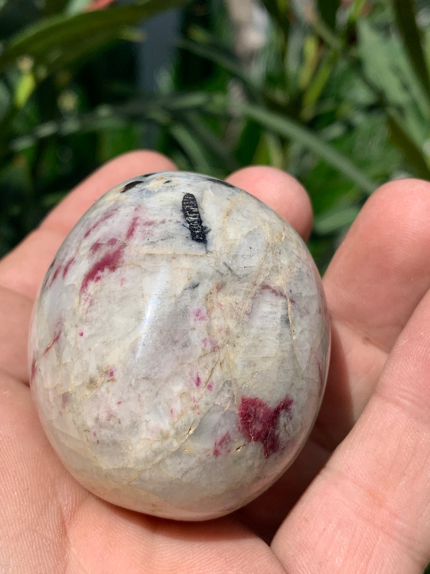 Tourmaline Rubellite, gros galet rond de 60 x 50 x 45 mm - 179,2 grammes. Une très belle et unique pièce !