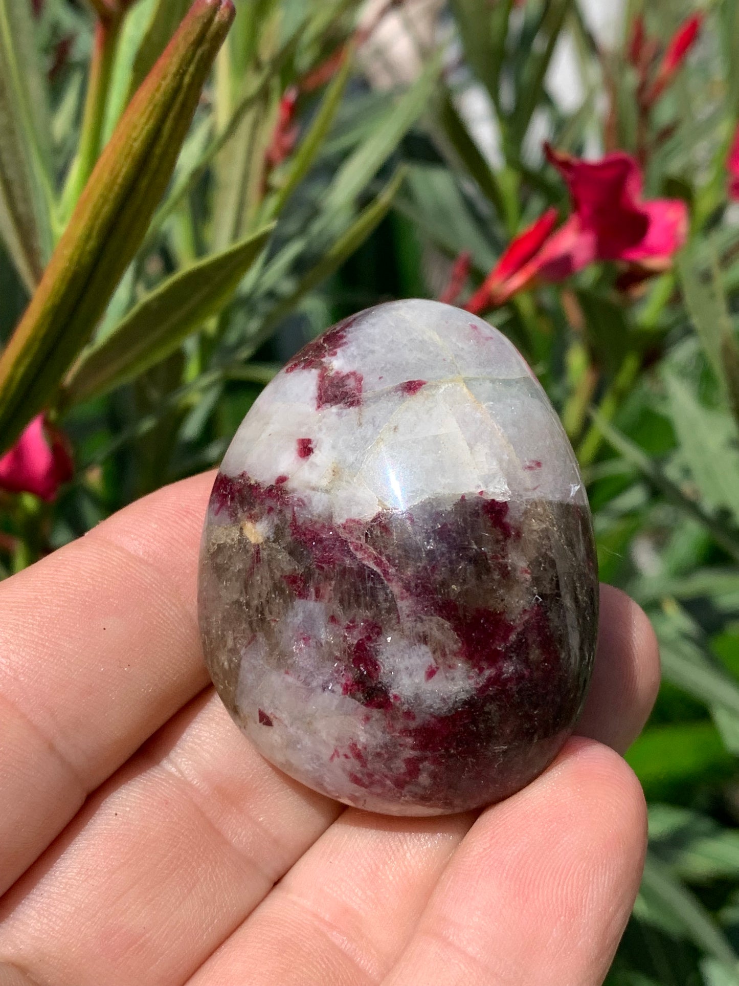 Tourmaline Rubellite, galet de 51 x 40 x 25 mm - 68,4 grammes. Une très belle et unique pièce !